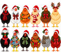 cluck cluck Merry Christmas