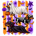 Halloween Dachshunds